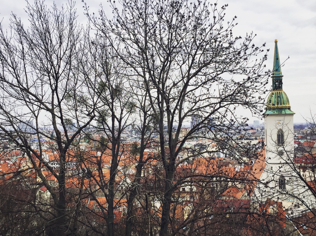 Did You Know: Slovakia's capital city, Bratislava, is full of hidden alleys, diverse architecture, delicious food, and amazing history? Click to discover more Secrets of Slovakia!